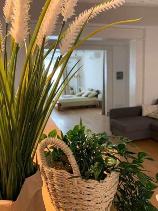 Interno4Home: In Centro Storico Con Posto Auto Ferrara Esterno foto